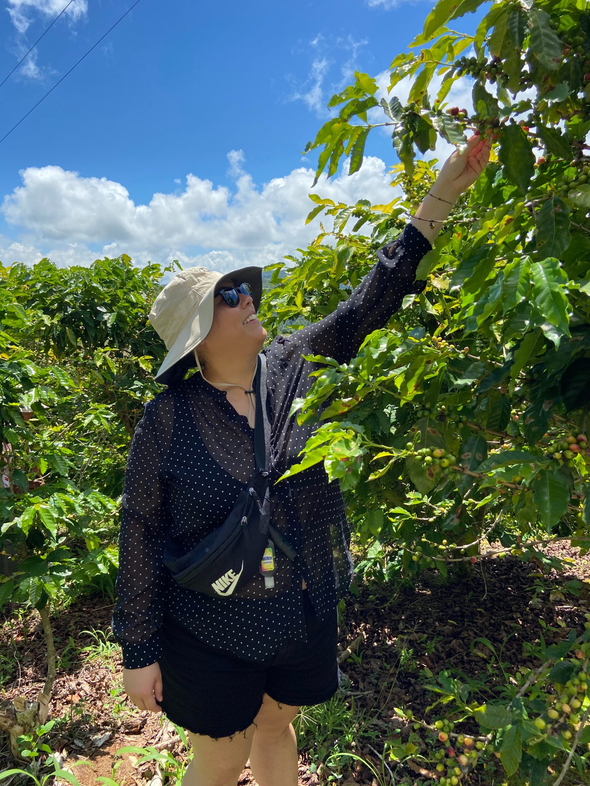 Coffee farm visit